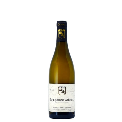 파비앙 꼬슈 부르고뉴 알리고떼 비에이 비뉴 2023 - 화이트와인