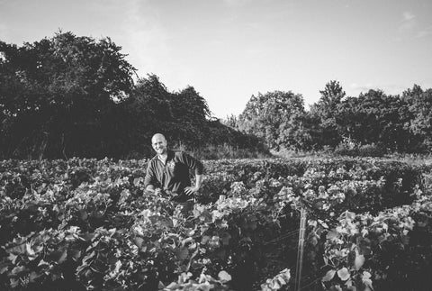 도멘 아르노 바이오(Domaine Arnaud Baillot)