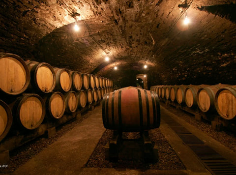 Domaine de la Pousse d’Or -도멘 드 라 푸스 도르-