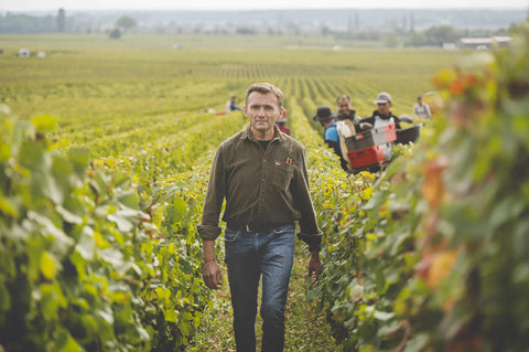 Domaine Pierre Vincent (도멘 피에르 뱅상)