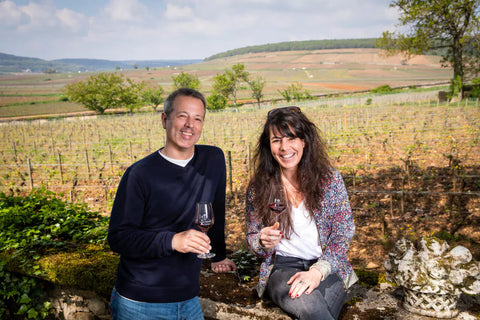 도멘 꽁뜨 세나르 Domaine Comte Senard