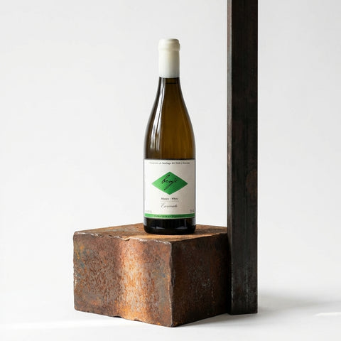 AI wine scene - 엔비나테 벤제 블랑코 2024