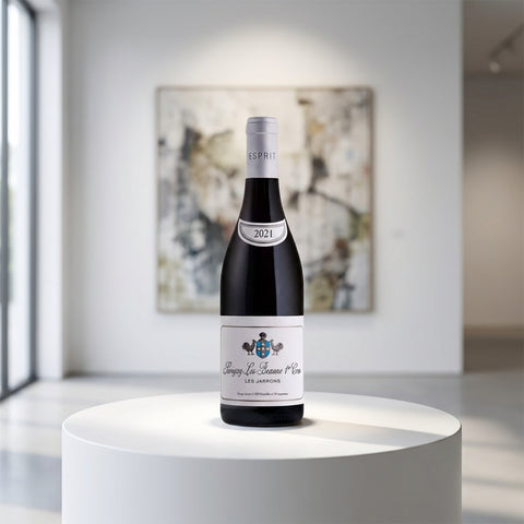 AI wine scene - 에스프리 르플레이브, 사비니 레 본 1er 레 자롱 2020