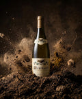 AI wine scene - 코슈 듀리 뫼르소 블랑 2008