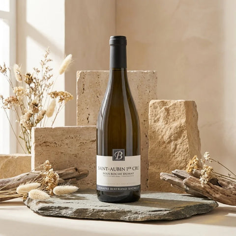 AI wine scene - 베르트랑 바슐레 생 토뱅 1er 로쉬 뒤메이 2023