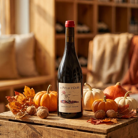 AI wine scene - 르 퓌 드 룩스, 사비니 레 본 레 폴레트 2024