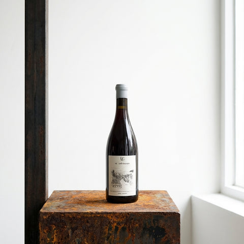 AI wine scene - 피에르 지라르댕 르 샤테니에 사바냥 2023