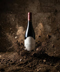 AI wine scene - 2013 Domaine Charles Audoin Pommard En Mareau