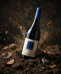 AI wine scene - [한정] 루치아노 산드로네 바롤로 알레스테 시비 에 파우치스 2015