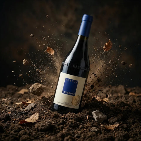 AI wine scene - [한정] 루치아노 산드로네 바롤로 알레스테 시비 에 파우치스 2015