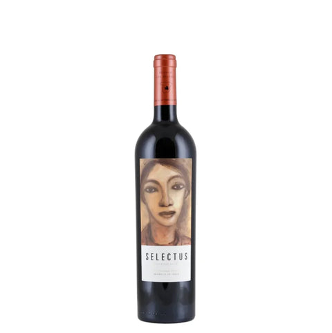 핀카 로스 알히베스 ’셀렉투스’ 2007 - 레드와인