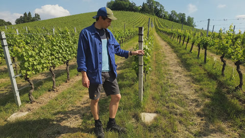 Weingut Tement sponsor video