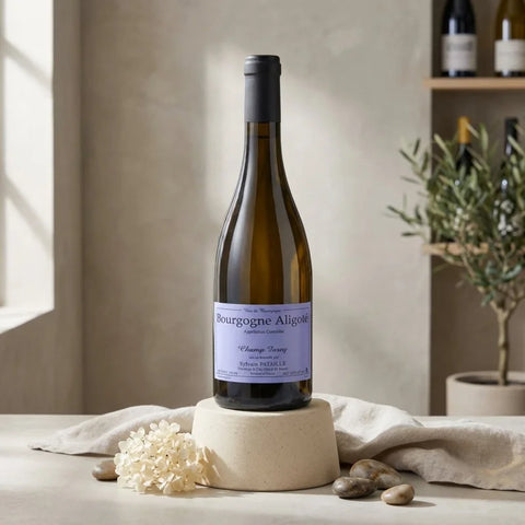 AI wine scene - 실방 파타유 부르고뉴 알리고떼 샹 포레 2021